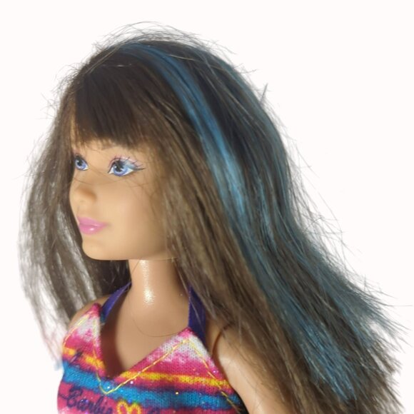 Barbie Life In The Dreamhouse Sisters Camping Doll Skipper Redressed Blue Streak - Picture 5 of 6